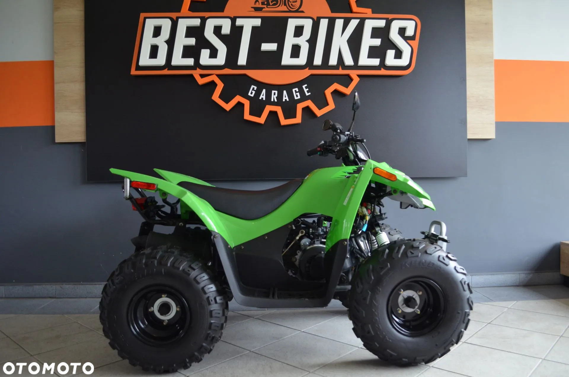 Arctic Cat Inny