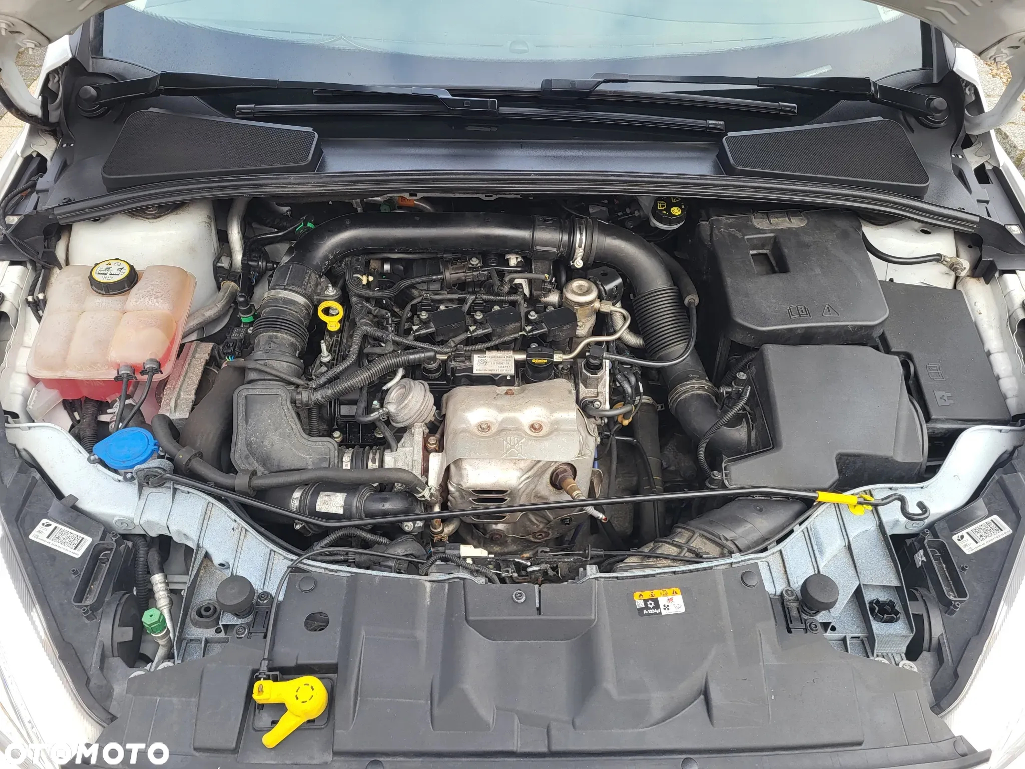 Ford Focus 1.0 EcoBoost Titanium ASS - 16