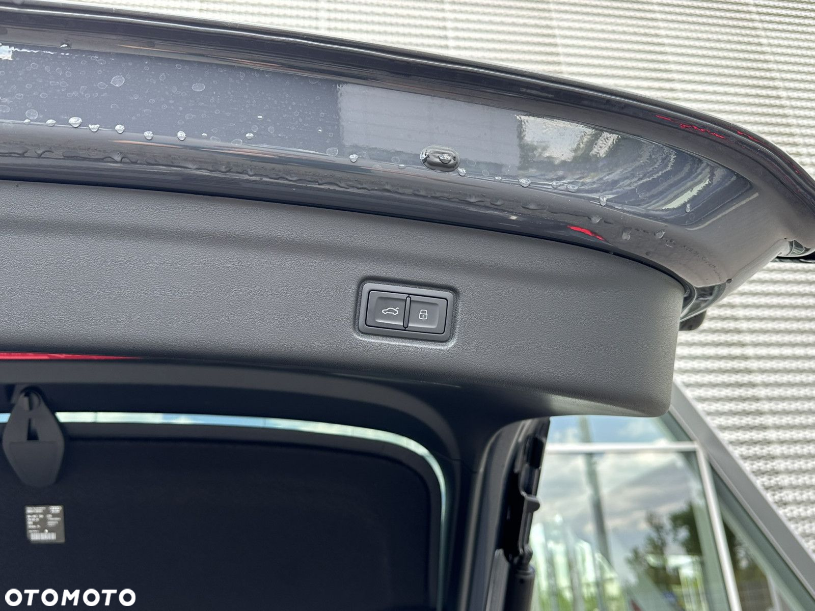 Audi SQ6 - 10
