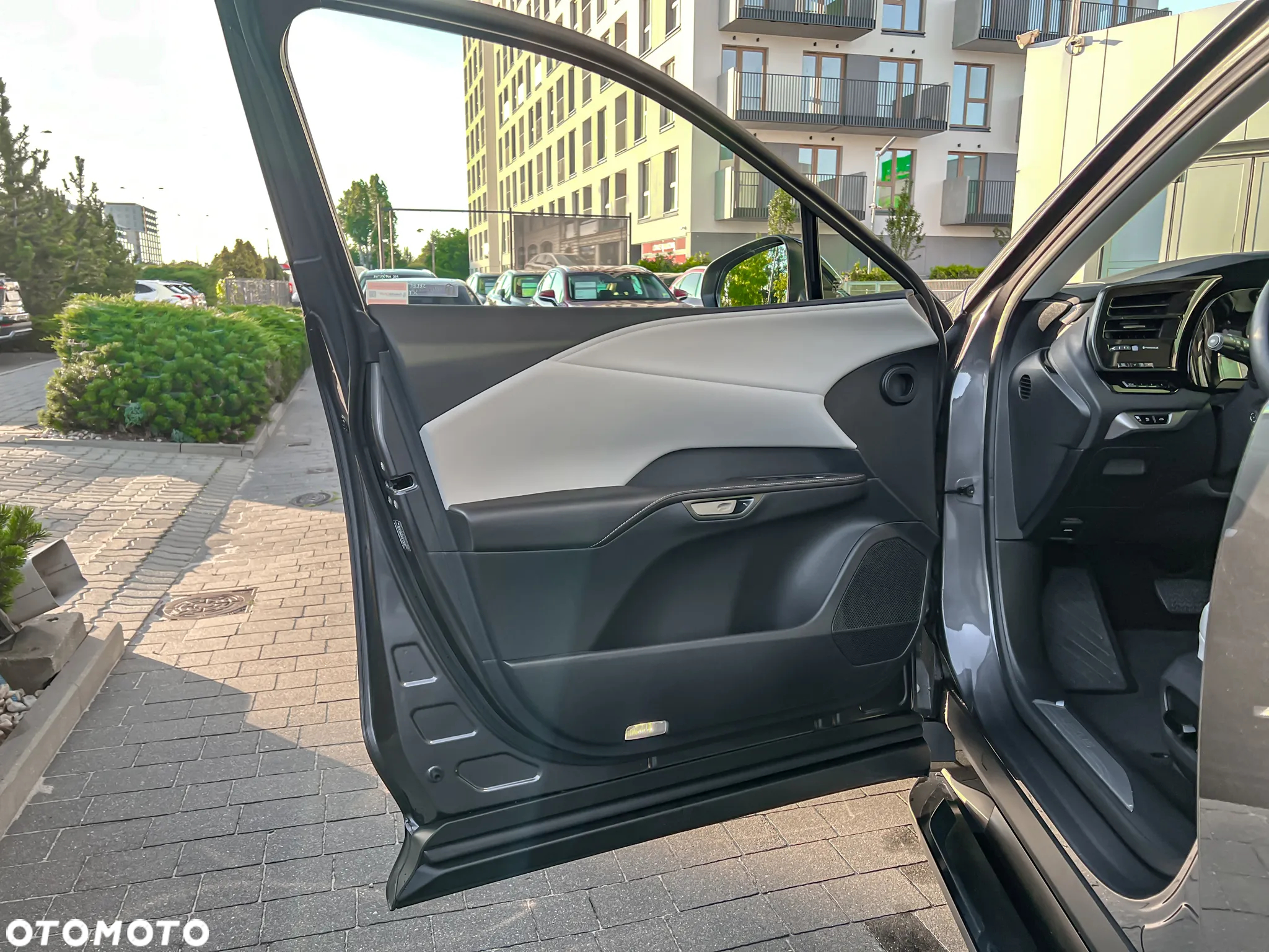 Lexus RX - 20