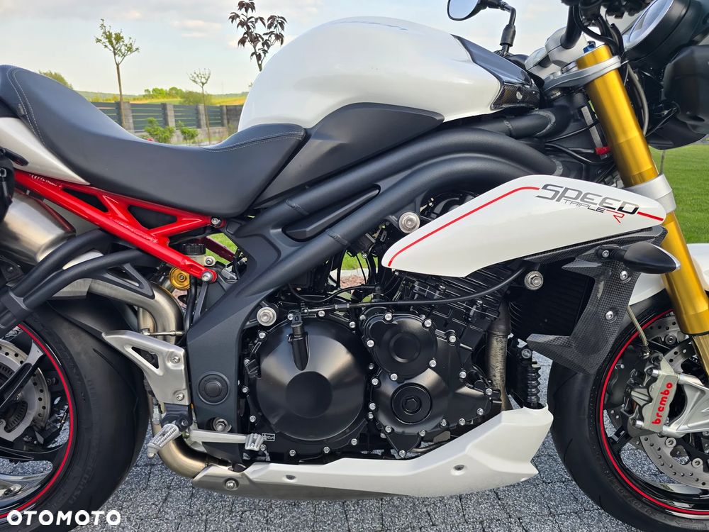Triumph Speed Triple - 13