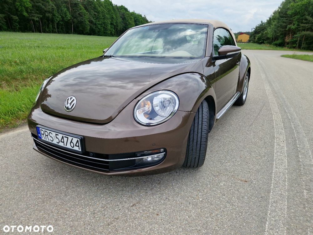 Volkswagen Beetle - 1