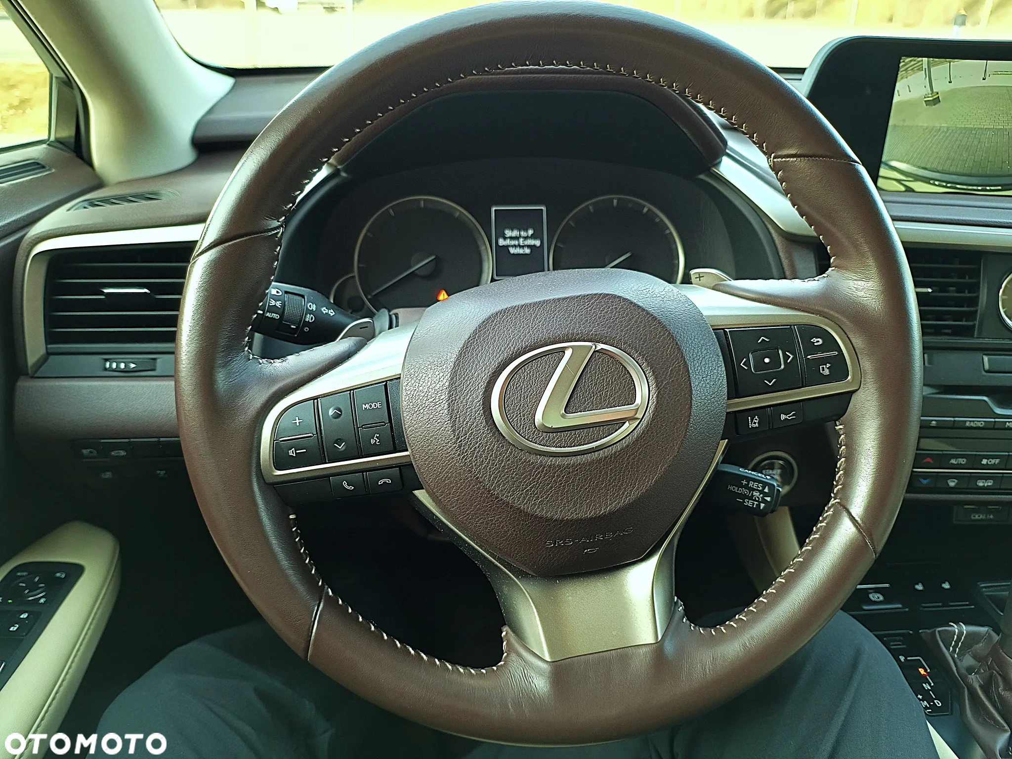 Lexus RX 300 Business Edition - 29