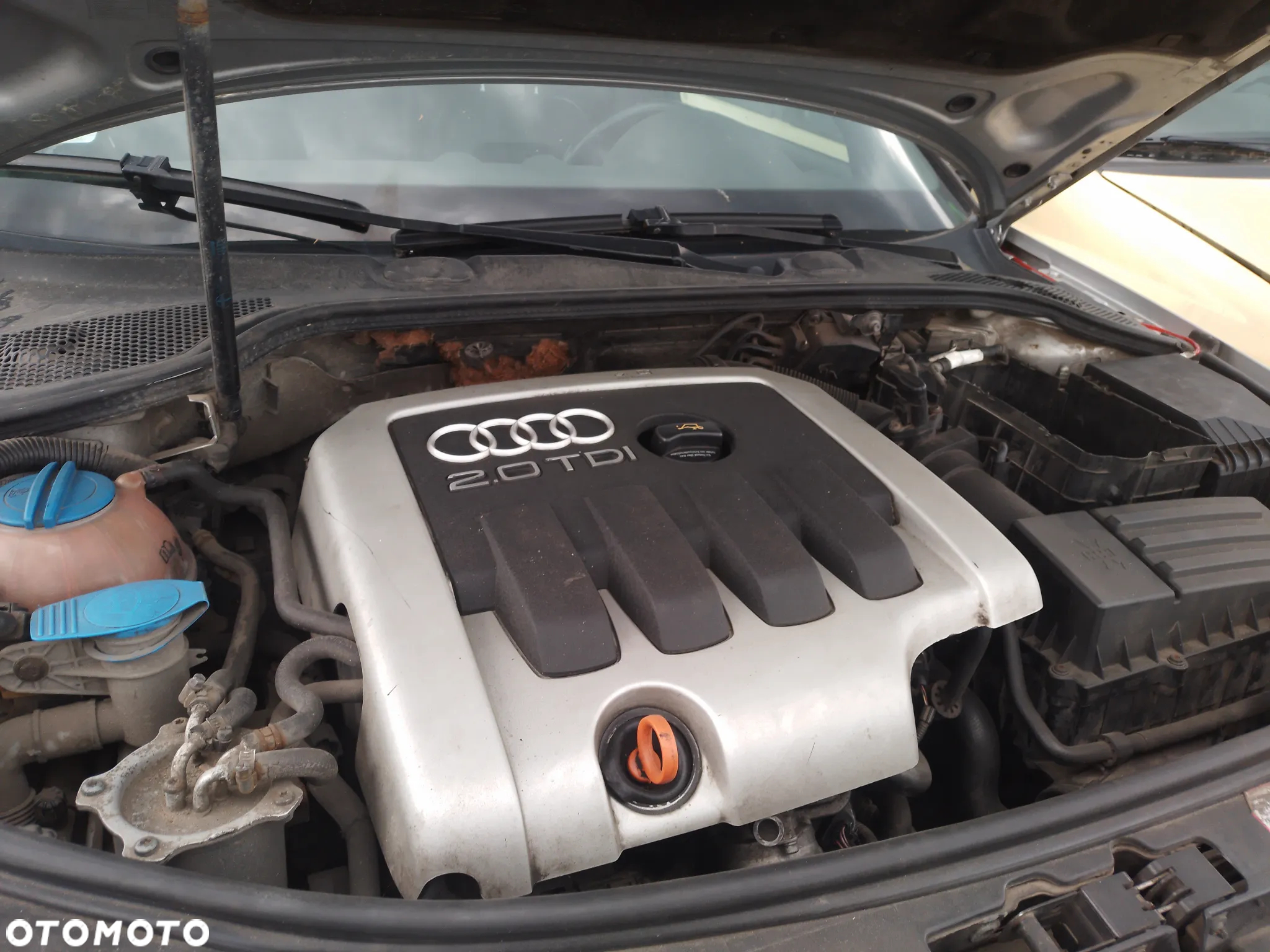 AUDI A3 8P 03-08 2.0 TDI BKD LY7W  BOCZEK DRZWI PRAWY LEWY - 31