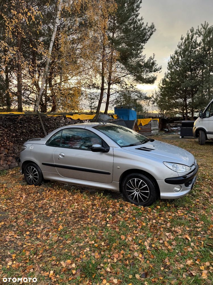 Peugeot 206 - 1