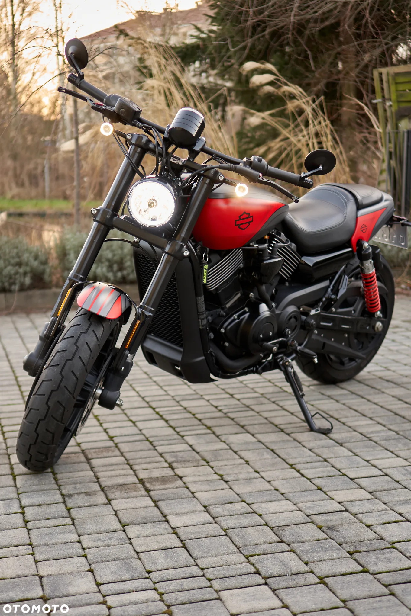 Harley-Davidson Street Rod XG 750A - 10