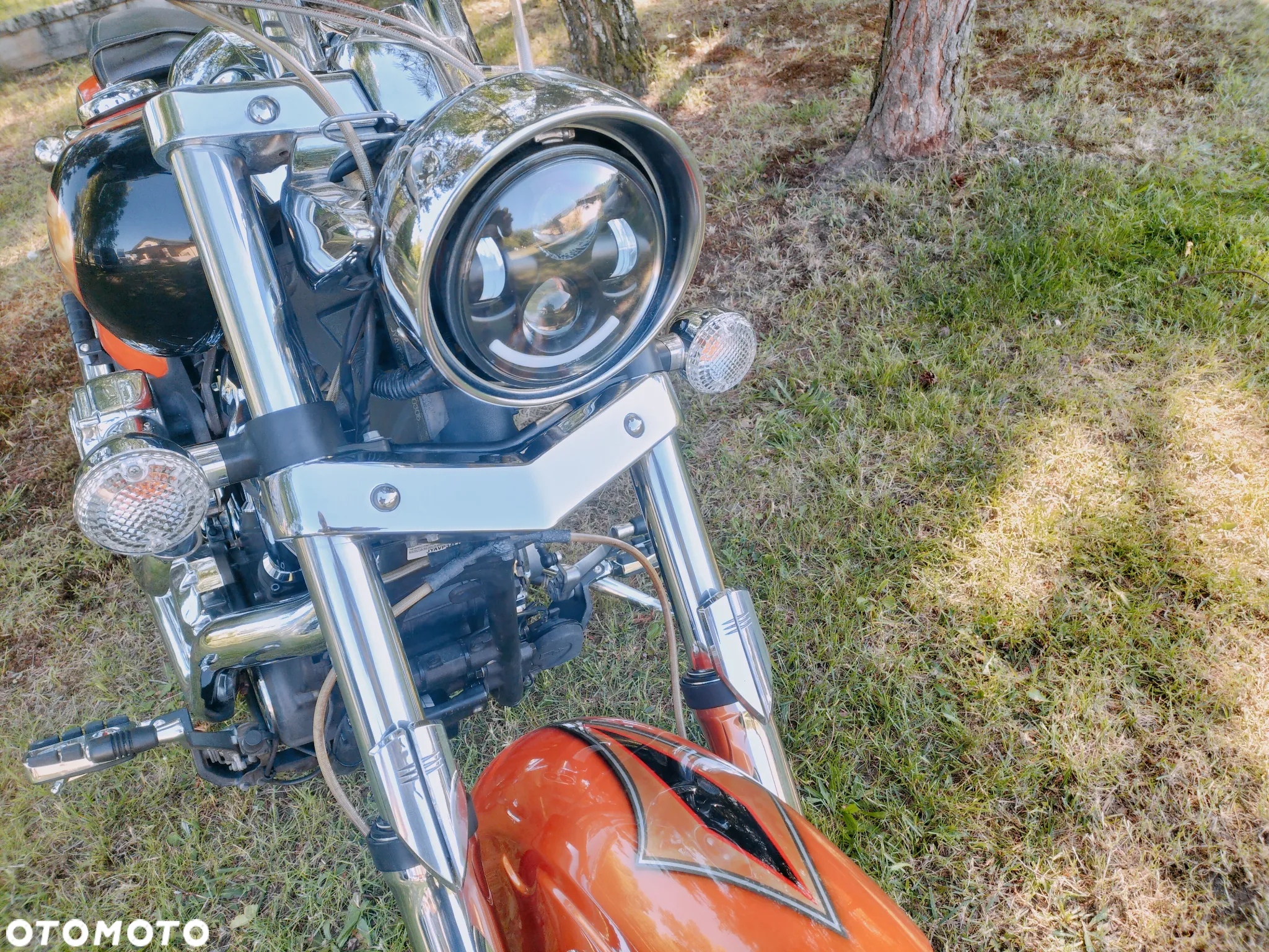 Yamaha Raider - 17