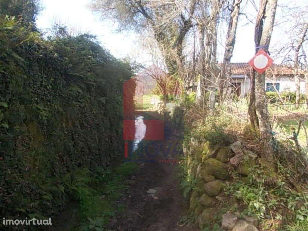 Terreno Agrícola, Coucieiro - Grande imagem: 3/3