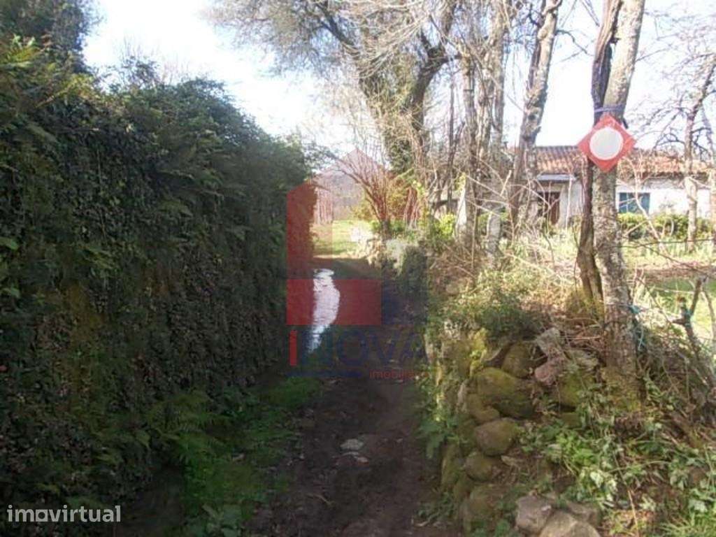 Terreno Agrícola, Coucieiro - Grande imagem: 3/3