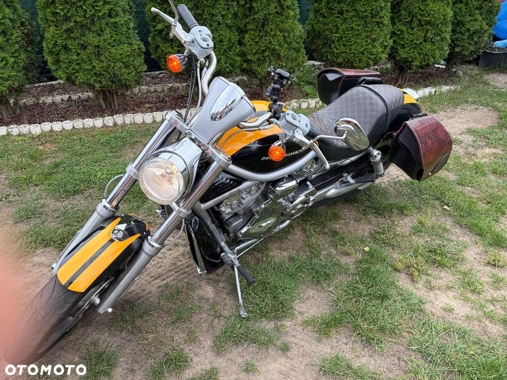 Harley-Davidson V-Rod Street Rod - 9