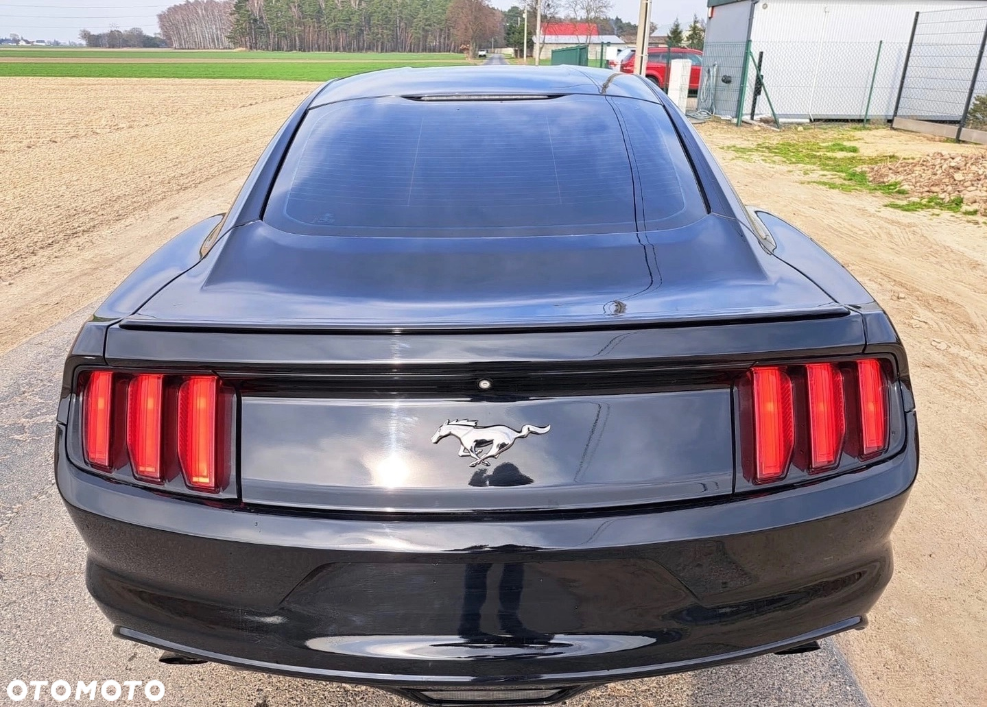 Ford Mustang 2.3 EcoBoost - 16