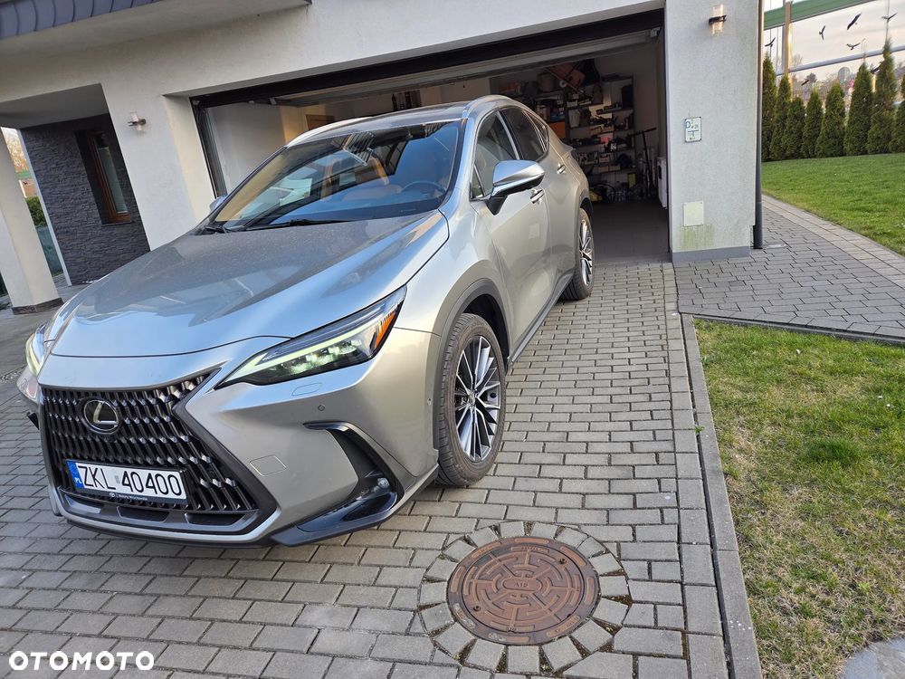 Lexus NX - 1