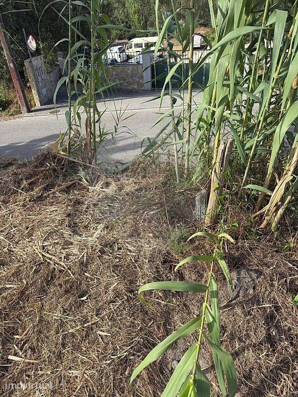 Terreno  para venda - Grande imagem: 5/10