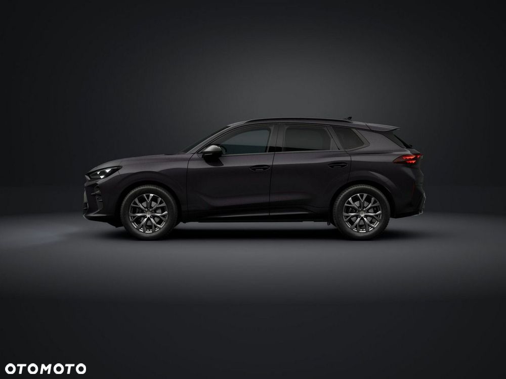 Cupra Terramar - 2