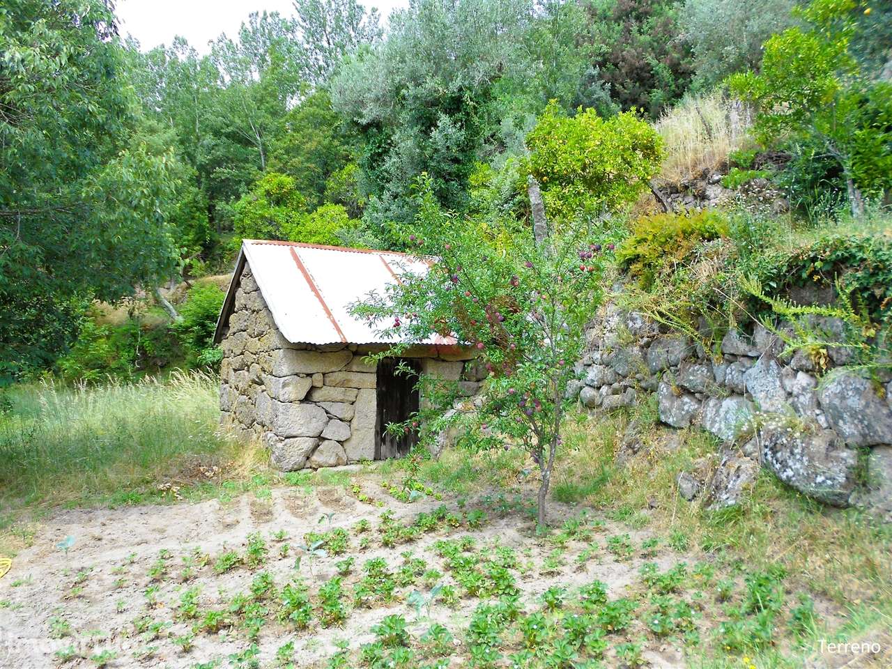 Quinta com Piscina - T4, em Marco de Canaveses - Grande imagem: 5/27