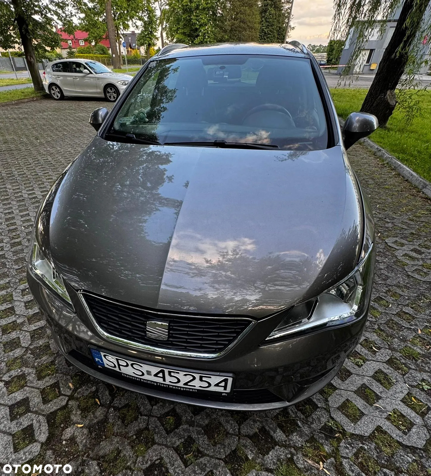 Seat Ibiza - 7