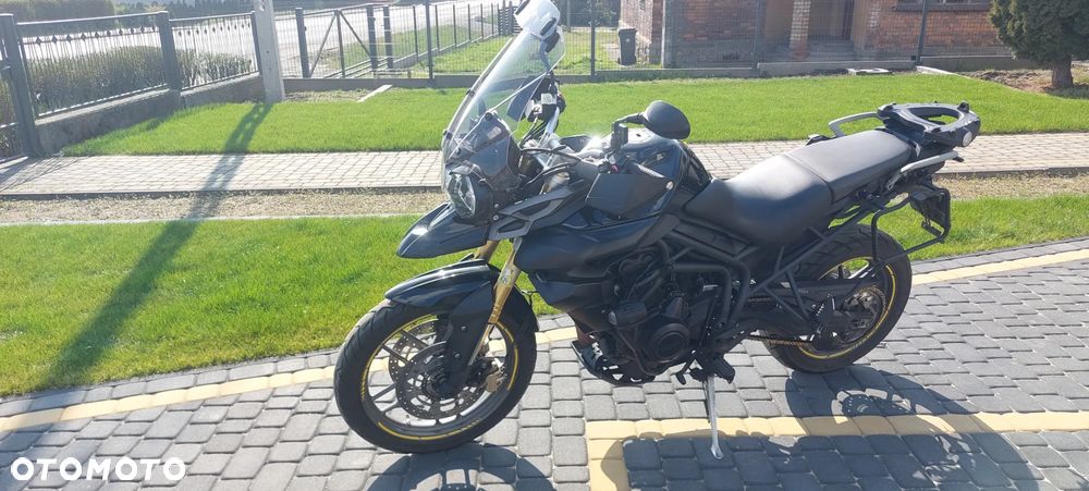 Triumph Tiger - 3
