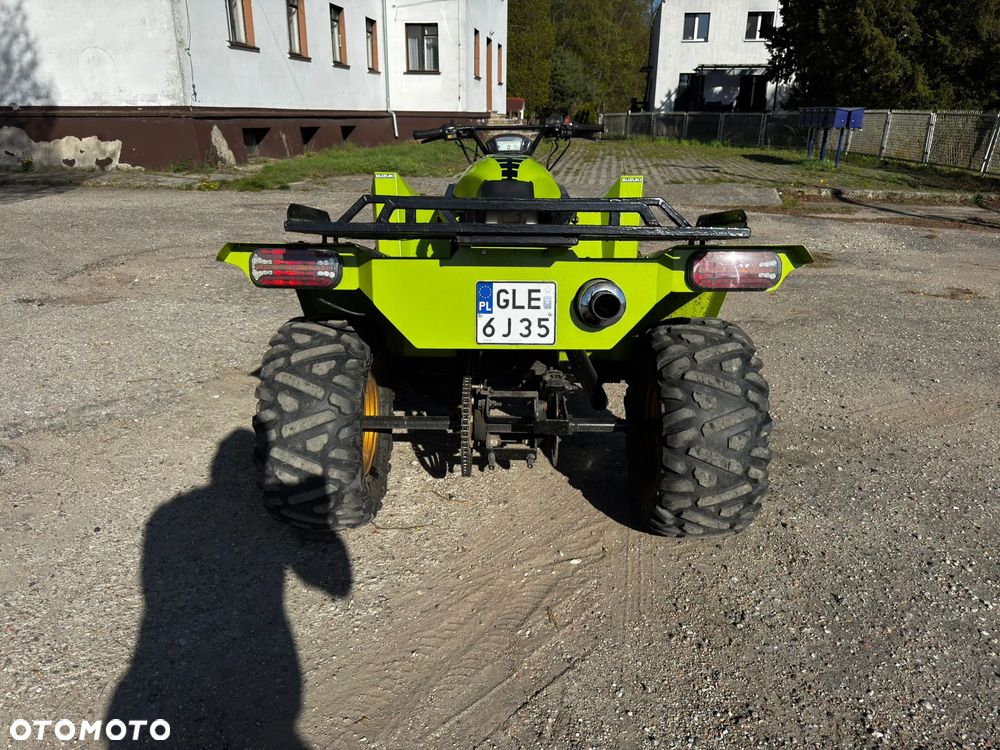 Suzuki Kingquad - 8