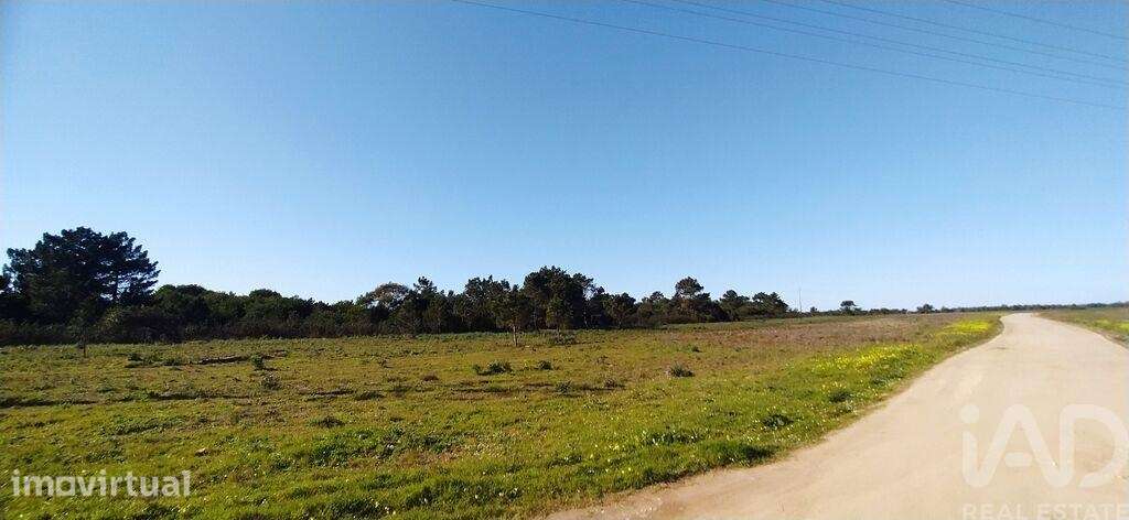 Terreno T1 em Vila do Bispo e Raposeira de 235534,00 m2 - Grande imagem: 3/25