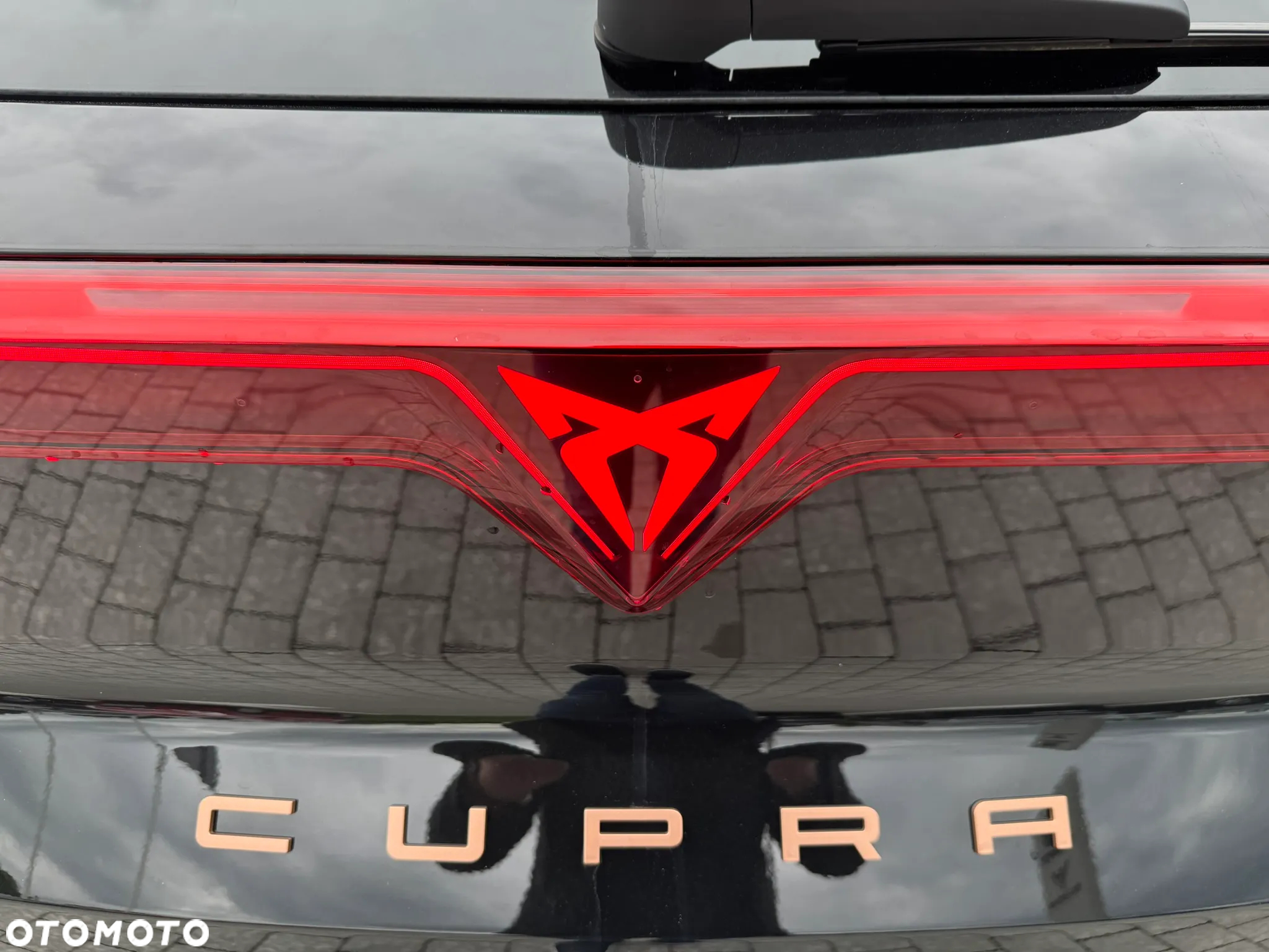 Cupra Terramar 1.5 eTSI mHEV DSG - 7