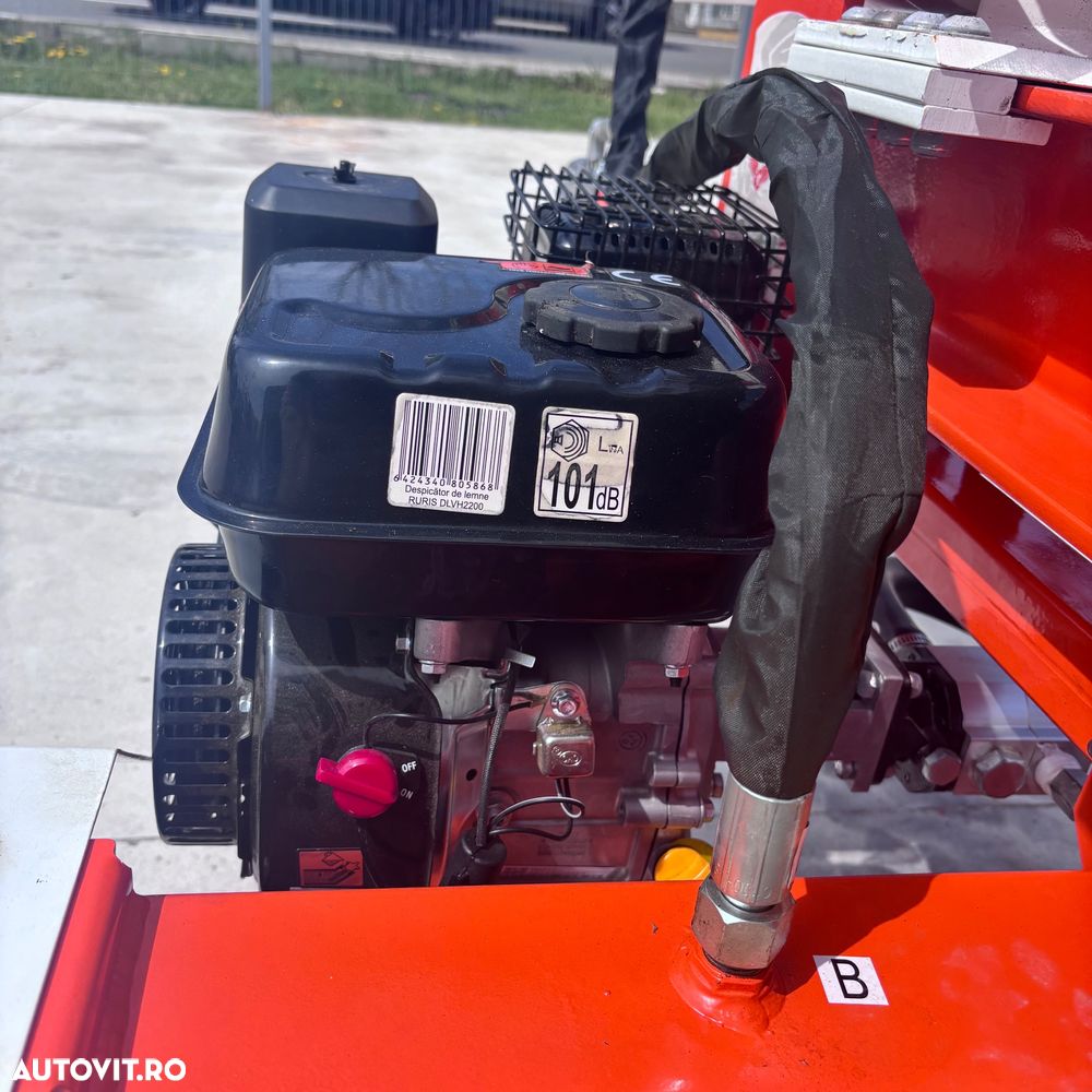 Ruris Despicator vertical de lemne - 4