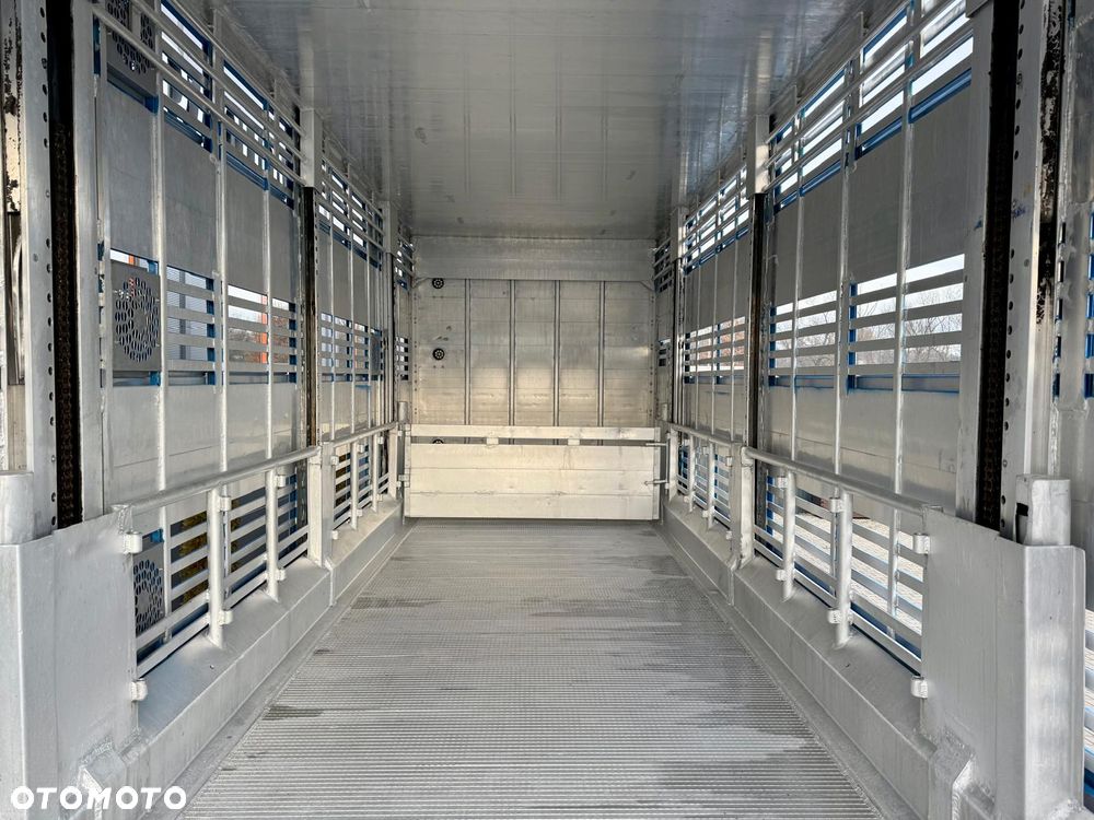 MAN TGX 26.540 // E6 // Zabudowa PEZZAIOLI // 3 poziomy hydraulika, podnoszony dach, rampa hydrauliczna // do żywca, do bydła, do transportu zwierząt - 21