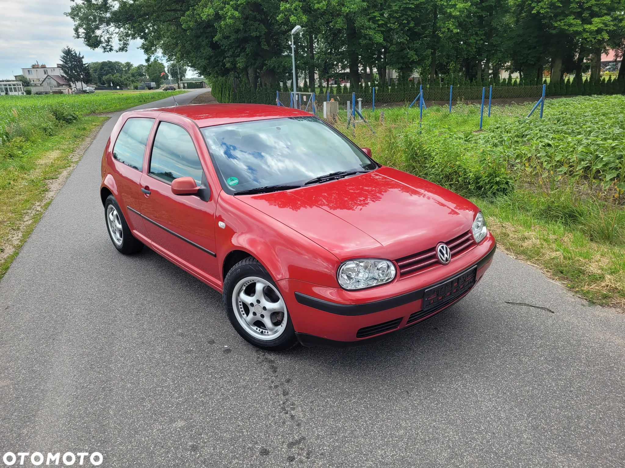 Volkswagen Golf IV 1.4 Trendline - 14