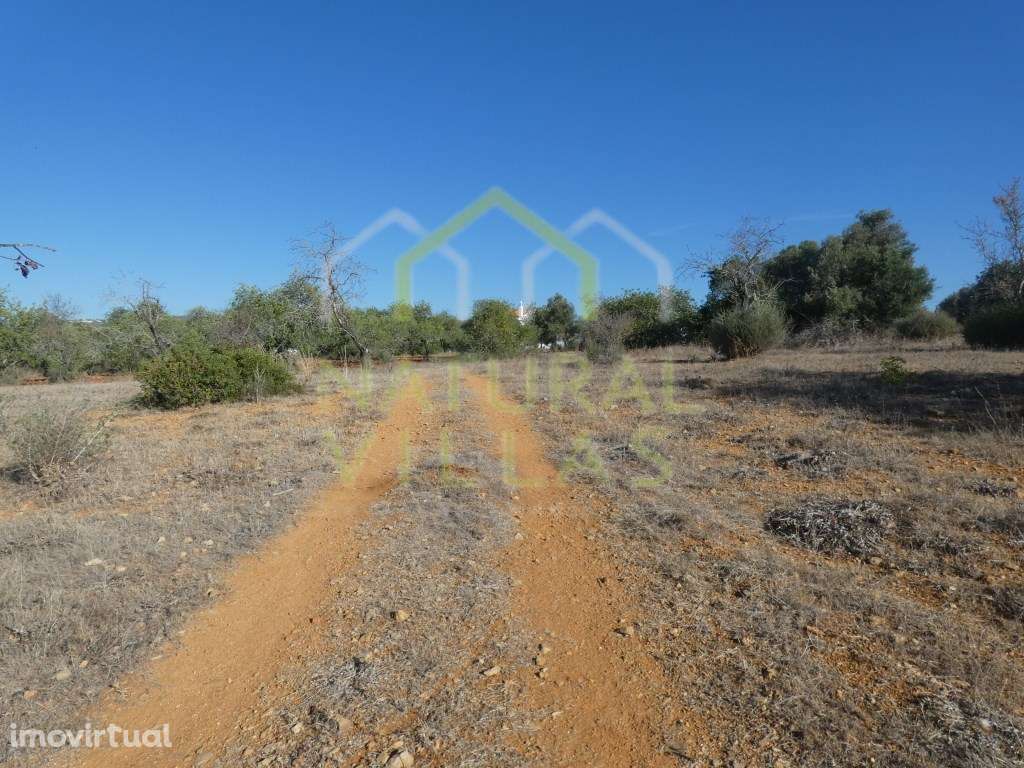 Terreno com Ruína em Mata Lobos, Faro - Grande imagem: 3/9
