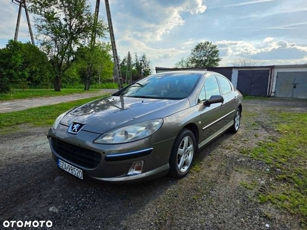 Peugeot 407 - 1