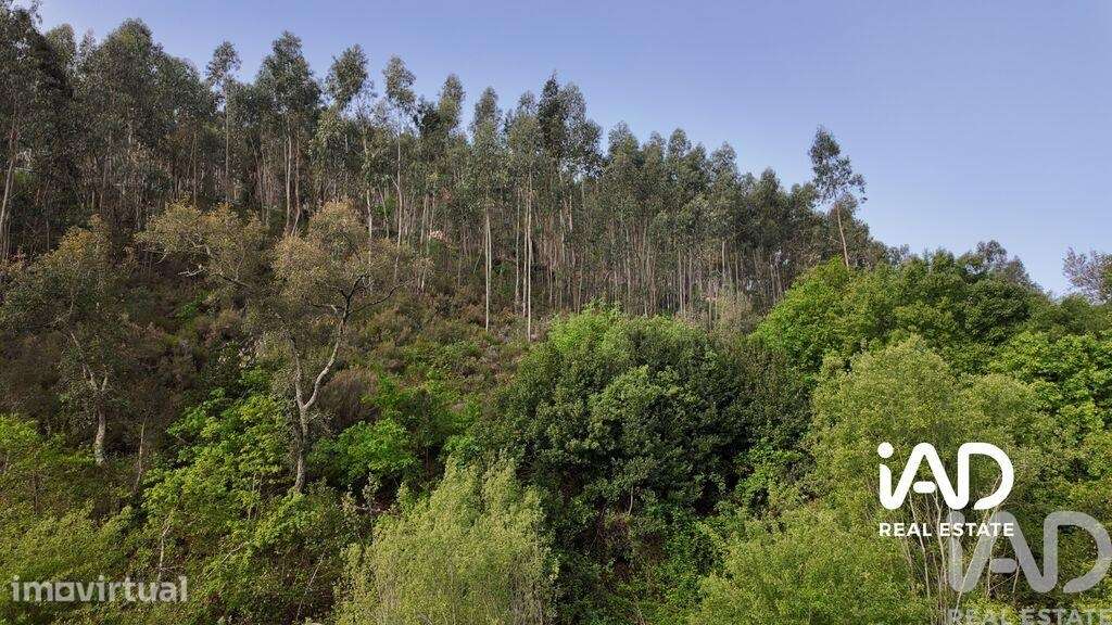 Moradia isolada em Graça de 198,15 m2 - Grande imagem: 5/14