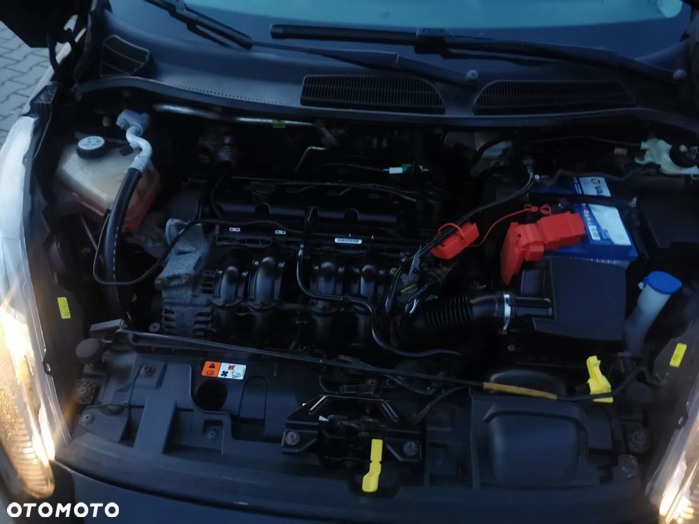 Ford Fiesta - 11