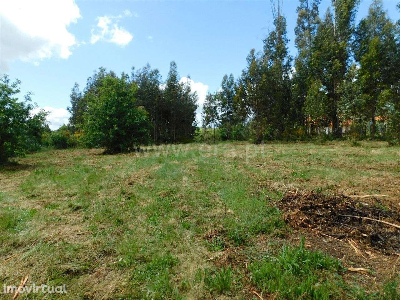 Terreno / Seia, Tourais e Lajes - Grande imagem: 5/10