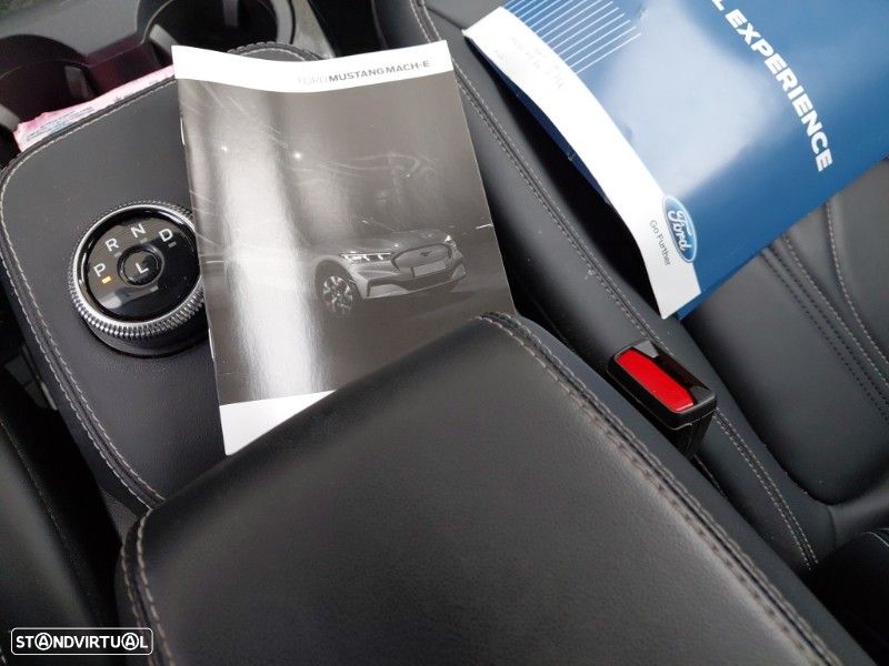 Ford Mustang Mach-E - 11