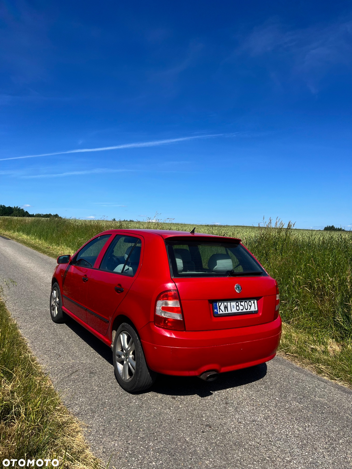 Skoda Fabia 1.9 TDI RS - 2