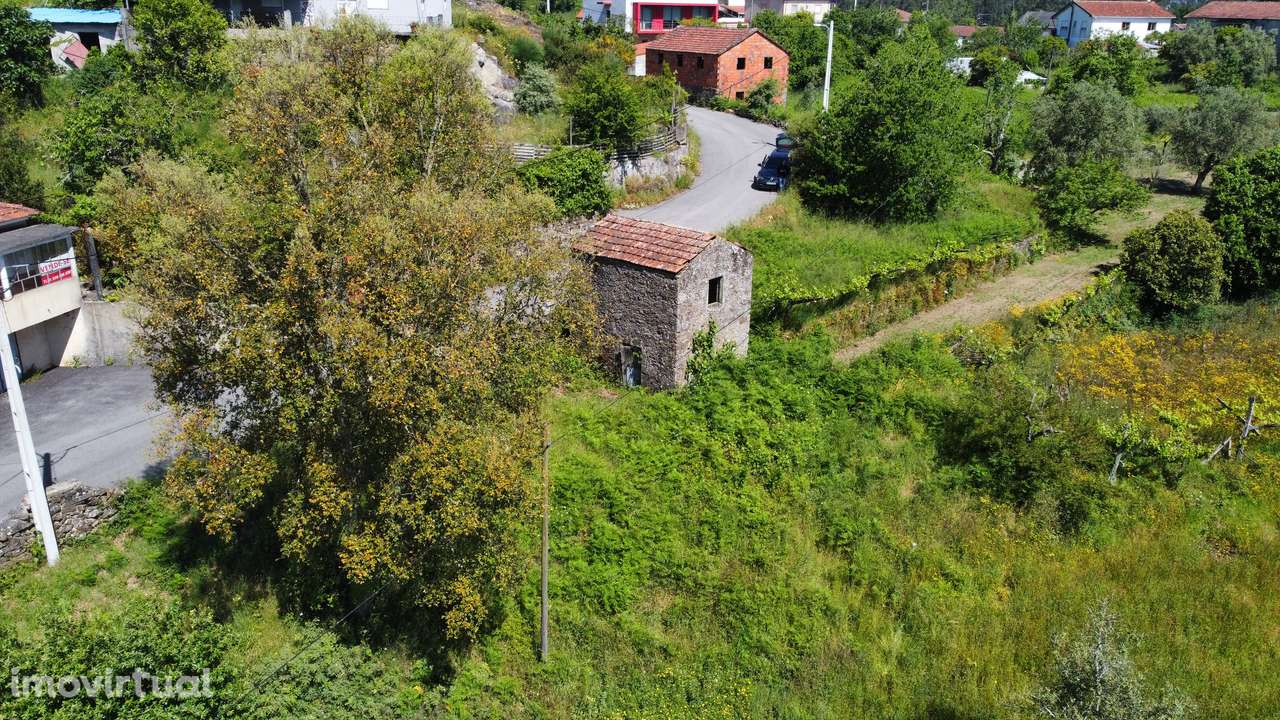Terreno p/ construção – Oliveira de Frades - Grande imagem: 5/21