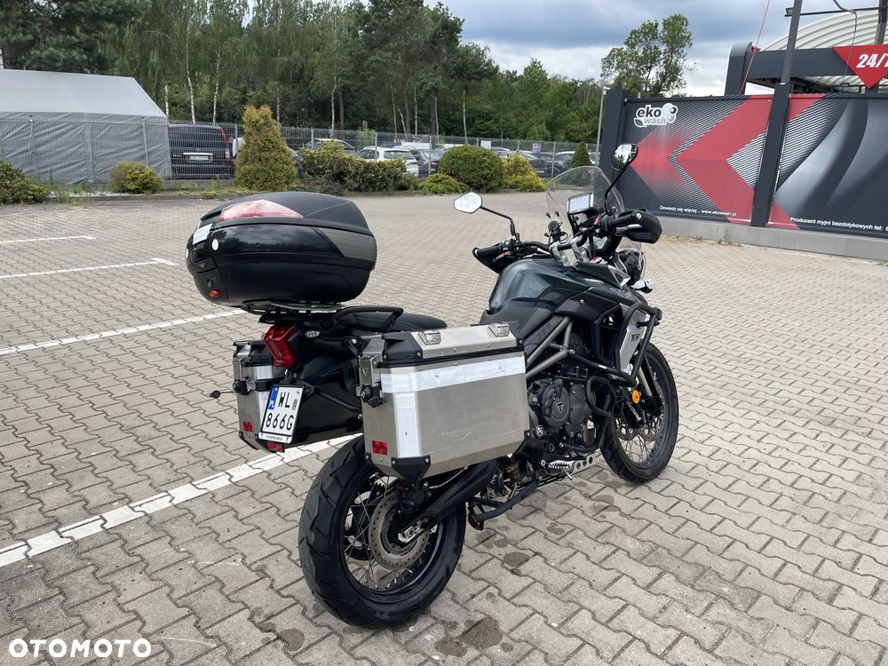 Triumph Tiger - 19