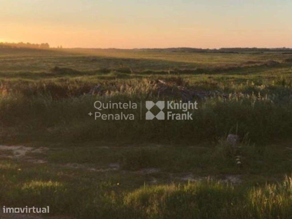 Herdade com 92 hectares, na Zambujeira do Mar - Grande imagem: 3/22