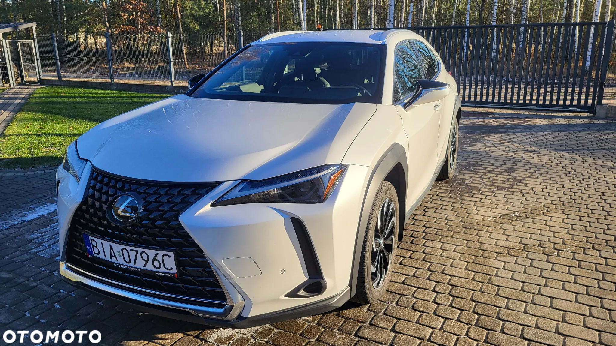 Lexus UX 250h GPF Business AWD - 12