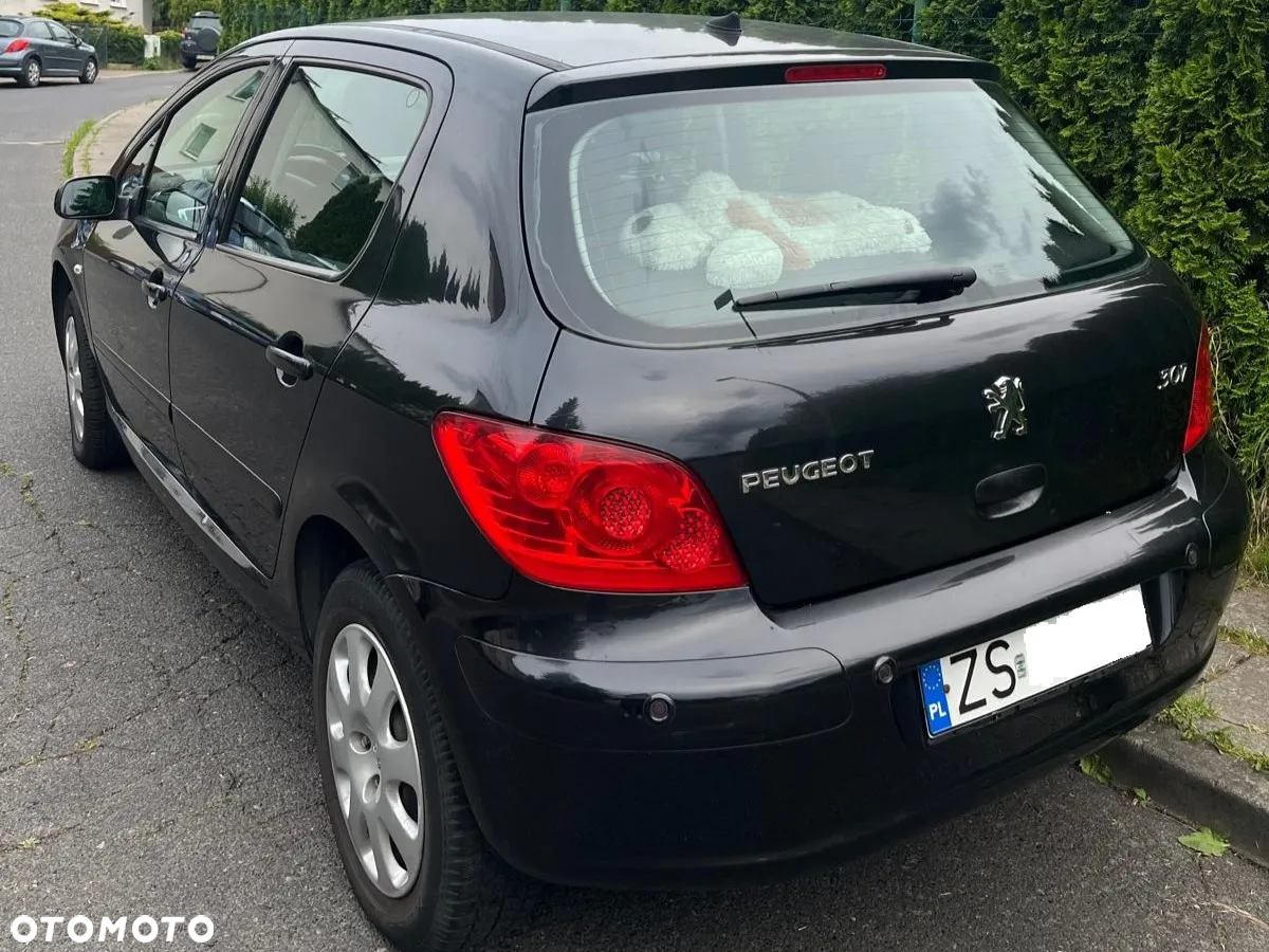 Peugeot 307 1.6 Trendy - 2
