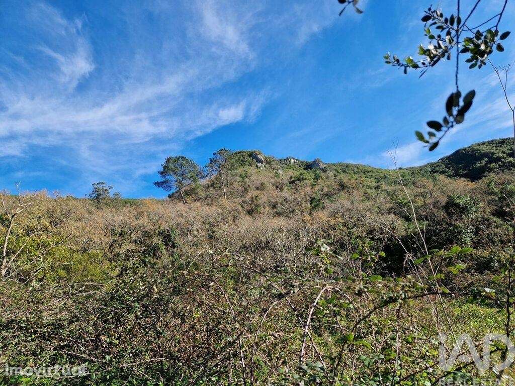 Comércio diverso em Porto de Mós - São João Baptista e São Pedro de 10 - Grande imagem: 5/19