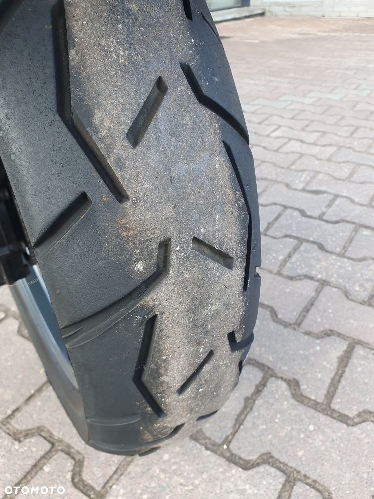 Triumph Tiger - 19