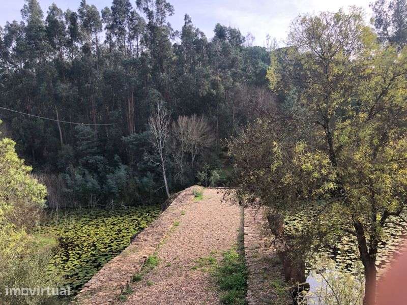 Terreno rural para amantes da natureza - Grande imagem: 3/7