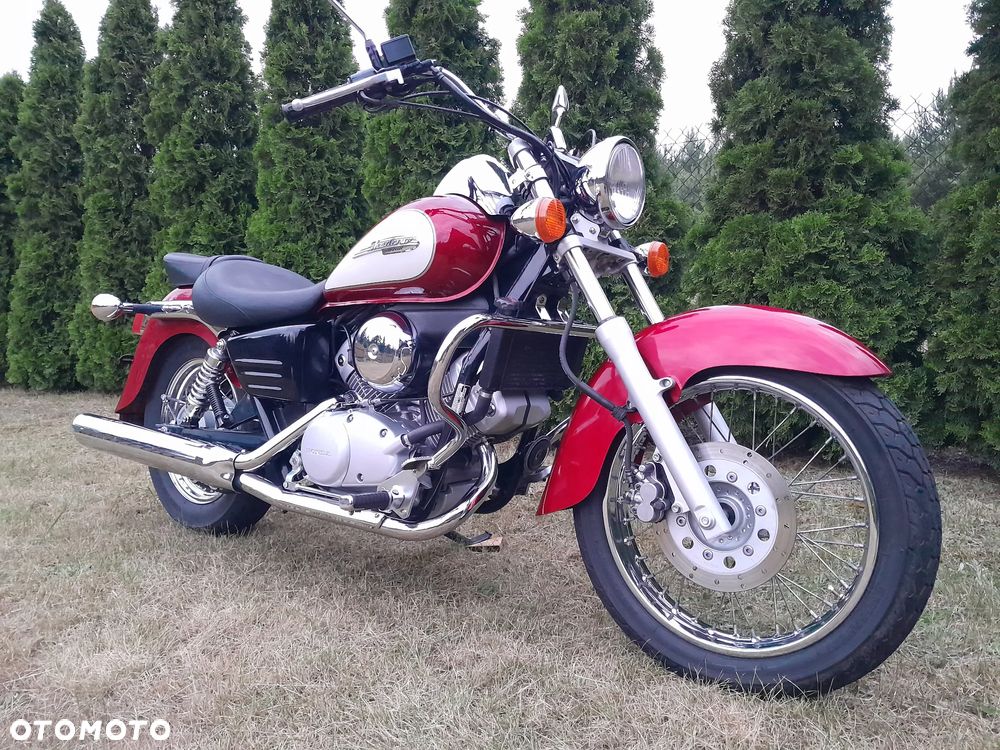 Honda Shadow - 3