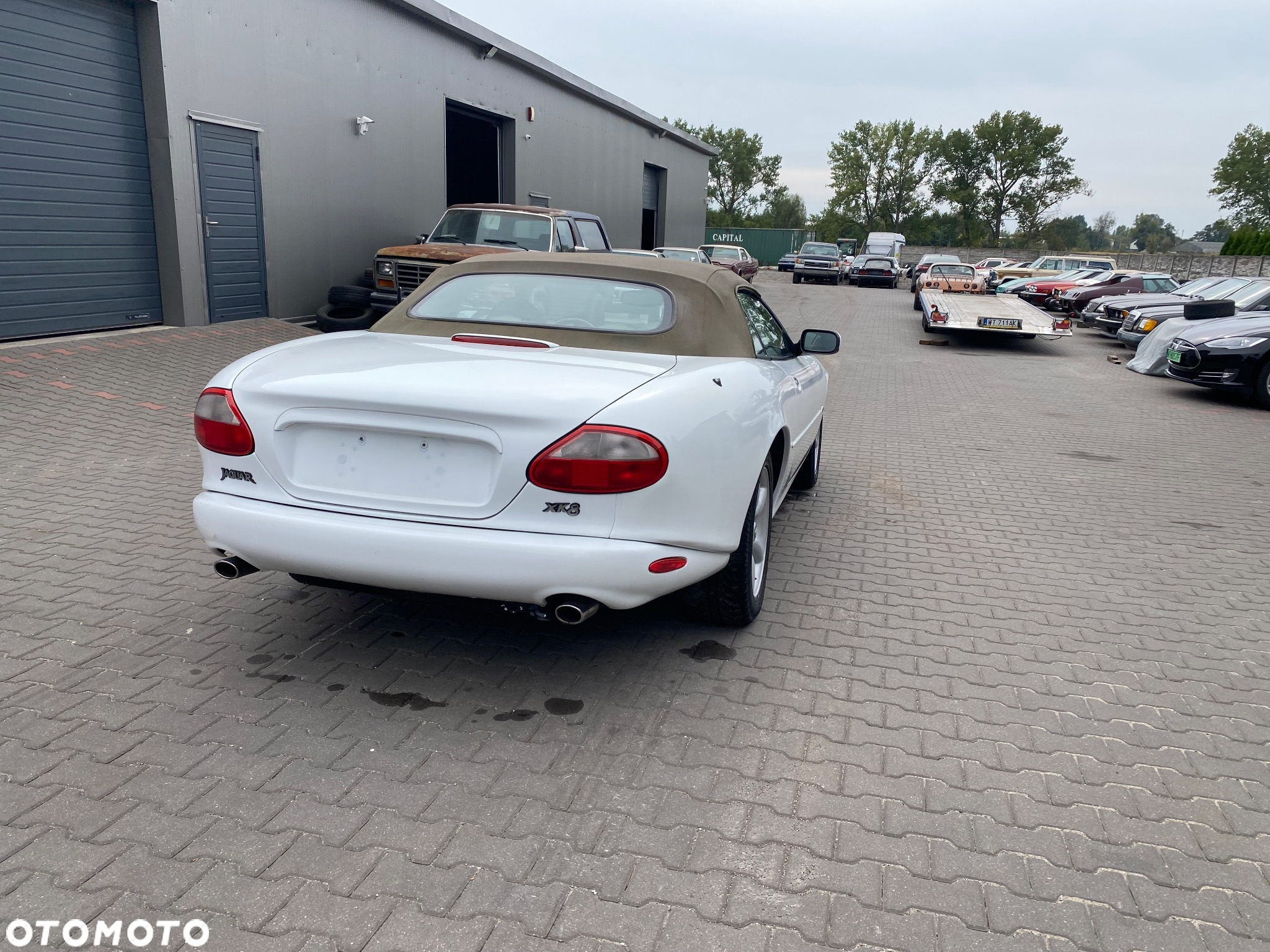 Jaguar XK8 4.2 - 11