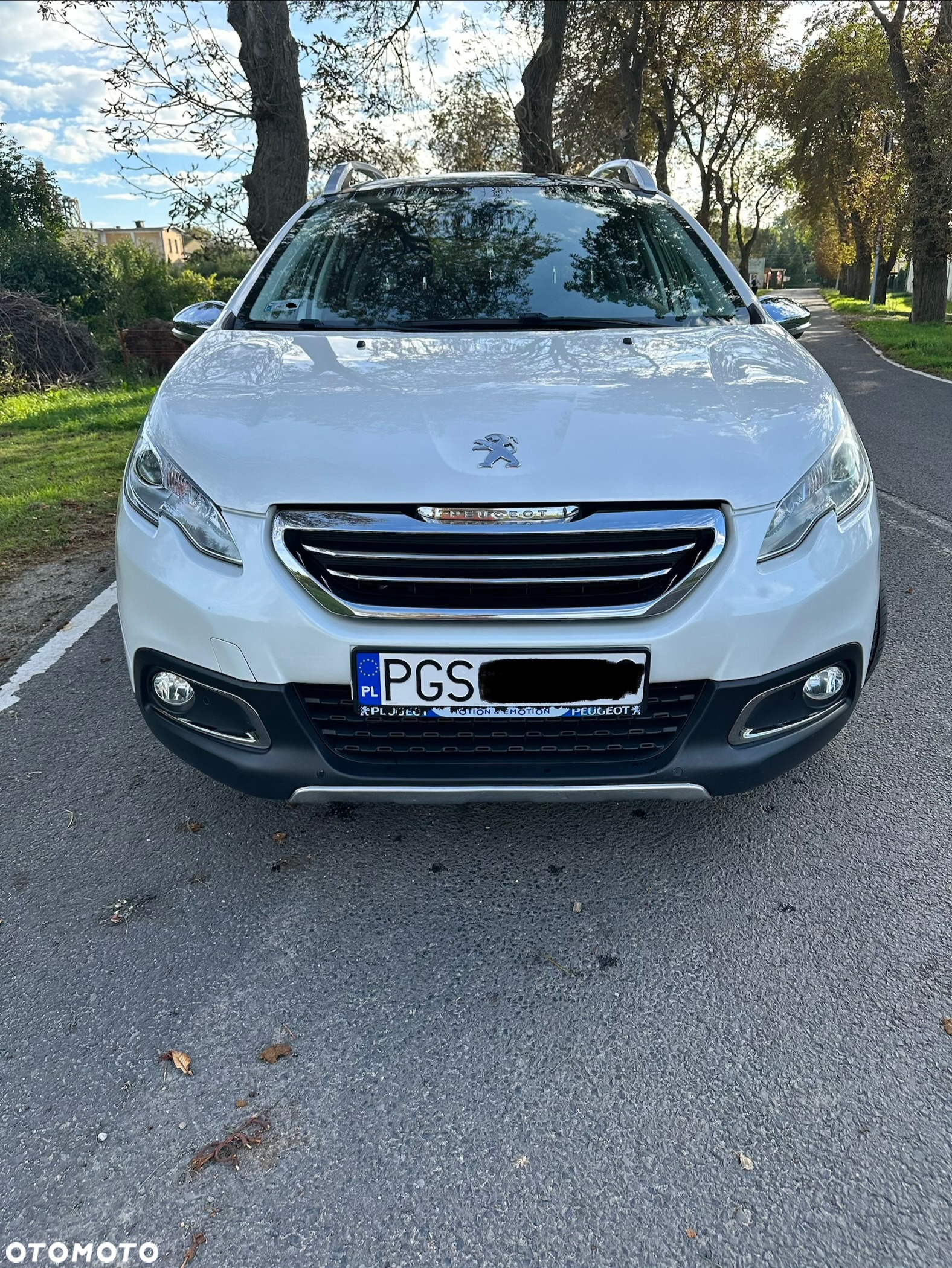 Peugeot 2008 1.6 e-HDi Allure S&S - 2