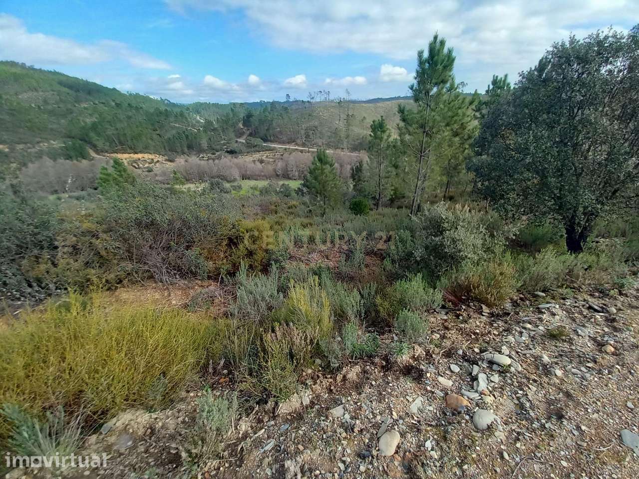 Terreno Rustico com 700m2 com Viabilidade de Construção em Cerejeira-A - Grande imagem: 3/13