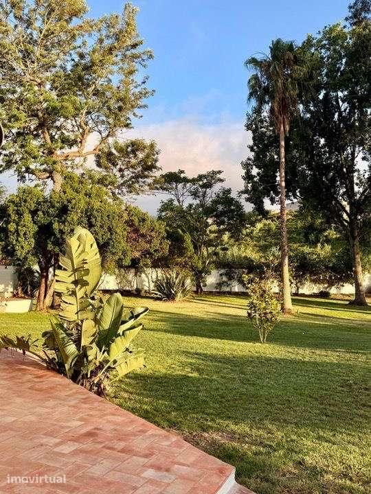 Casa de sonho, 5T, piscina, sauna, gr jardim, localização tranquila - Grande imagem: 5/37