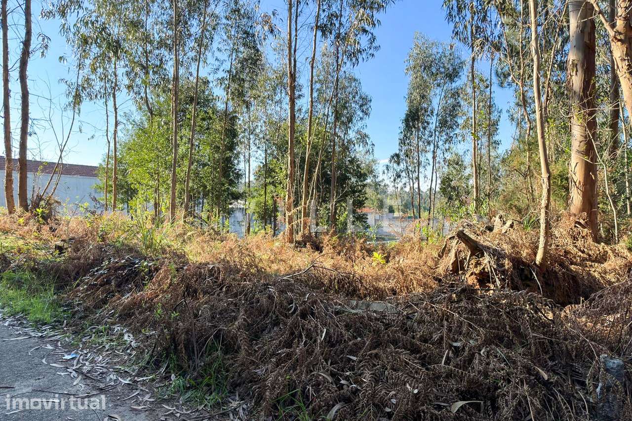 Terreno  Rústico com 1470m2 na zona de Anta Espinho - Grande imagem: 4/10