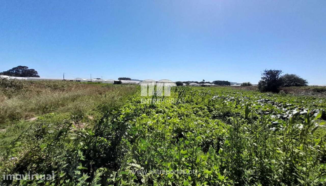 Venda de Terreno agrícola em Navais, Póvoa de Varzim - Grande imagem: 4/5