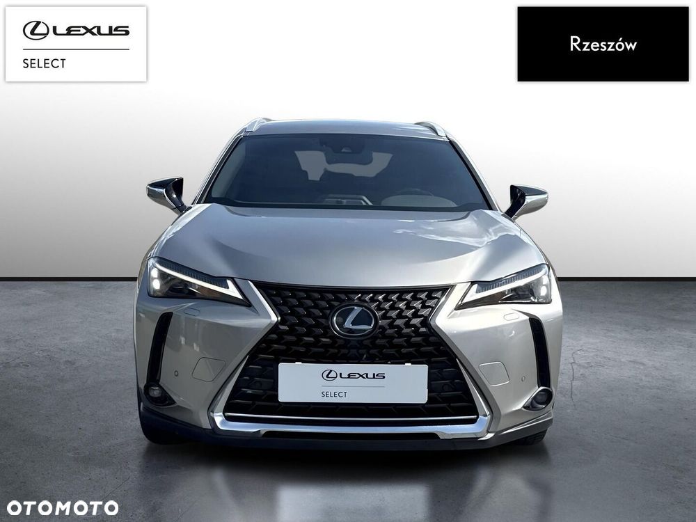 Lexus UX 250h GPF Business 2WD - 8